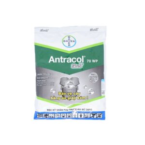 Antracol 70WP gói 100 g – thuốc trừ bệnh chứa propineb của Bayer